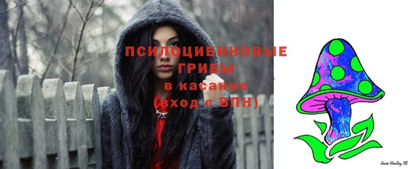 скорость Белокуриха