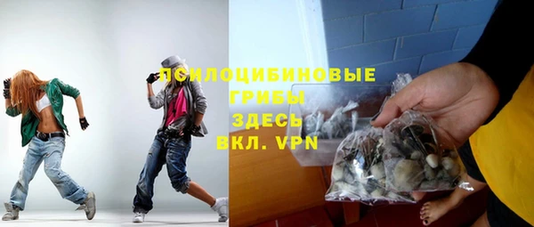 молекула духа Дмитров