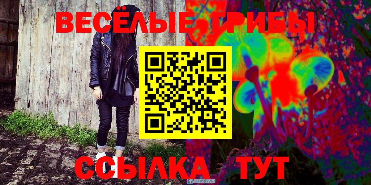 Псилоцибиновые грибы MAGIC MUSHROOMS  Вход с VPN  Гудермес 