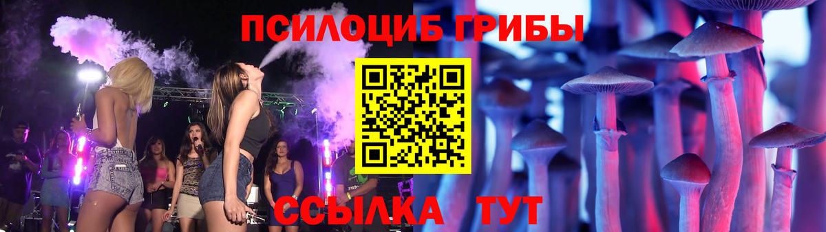 Галлюциногенные грибы Psilocybine cubensis Гудермес